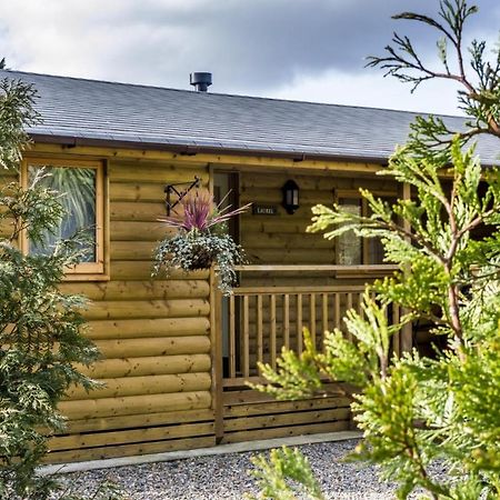 Laurel Lodge - 2 Bedroom Log Cabin - St Florence Saint Florence Luaran gambar